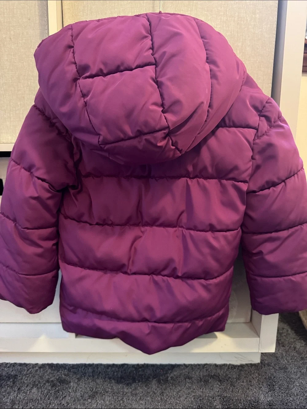 Toddler Primary Puffer Jacket with Hood